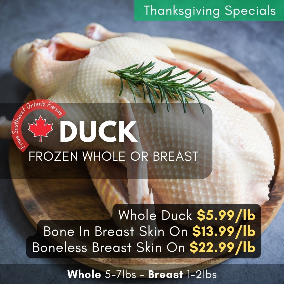 Duck 11 1